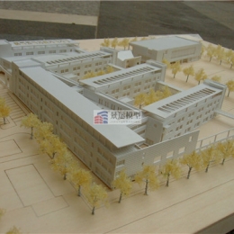 天津泰达小学